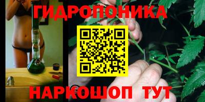 ГАЛЛЮЦИНОГЕННЫЕ ГРИБЫ Кингисепп