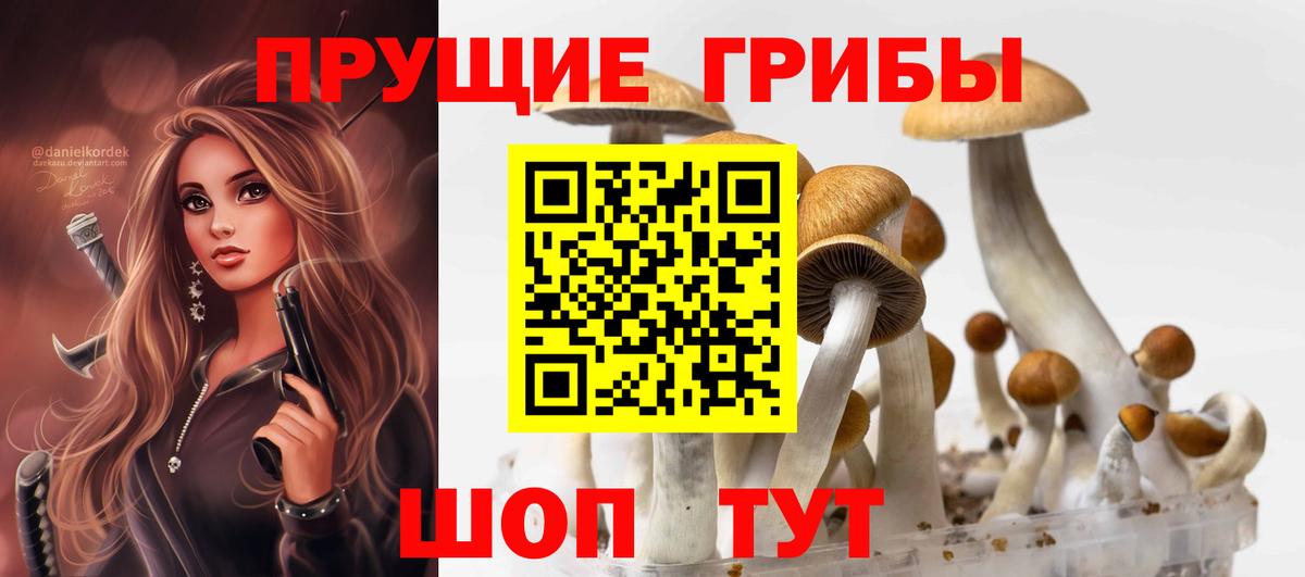 Псилоцибиновые грибы прущие грибы  Псилоцибиновые грибы Psilocybe  Котовск  Вход с VPN 